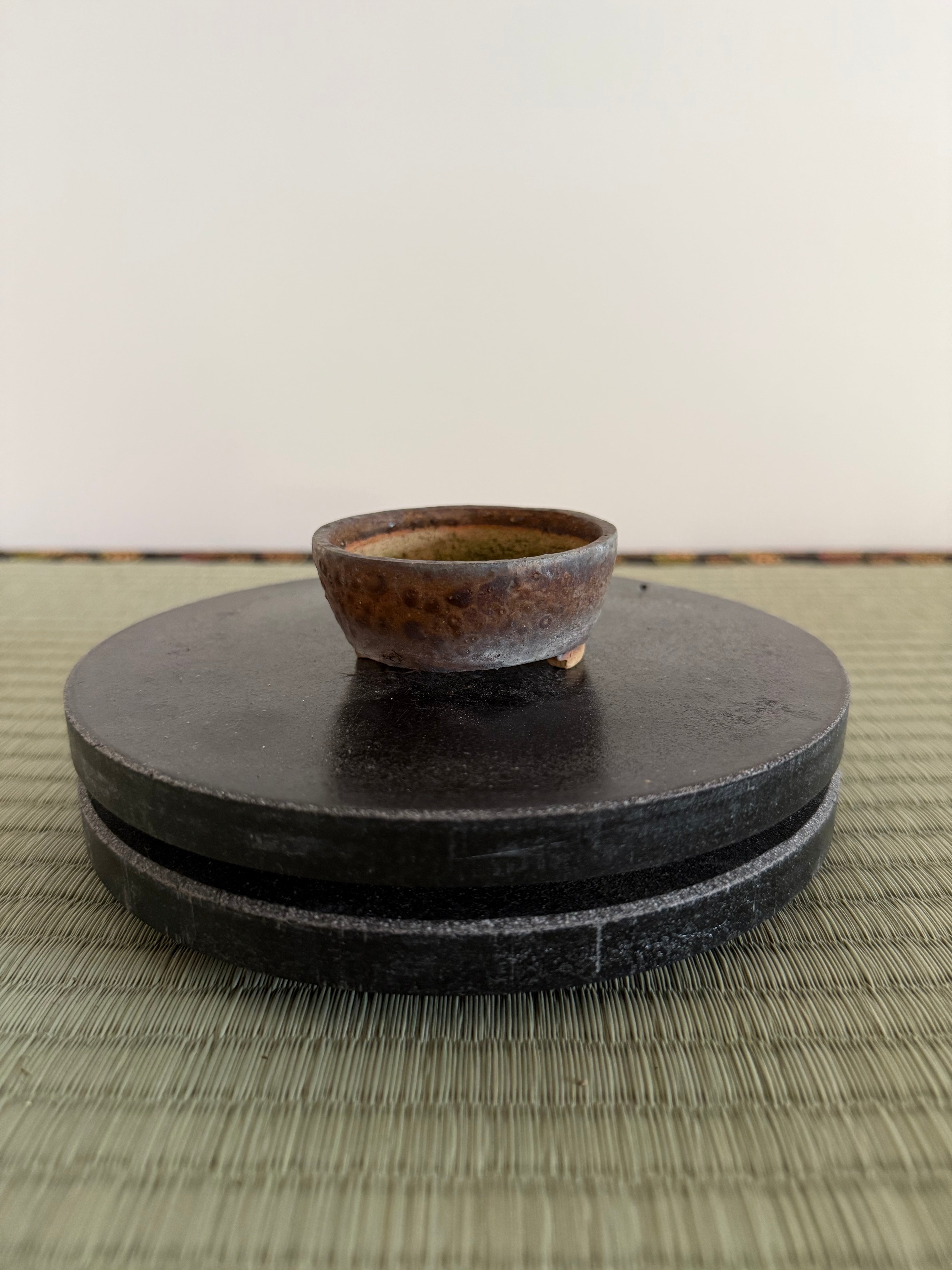 Bonsai Pot