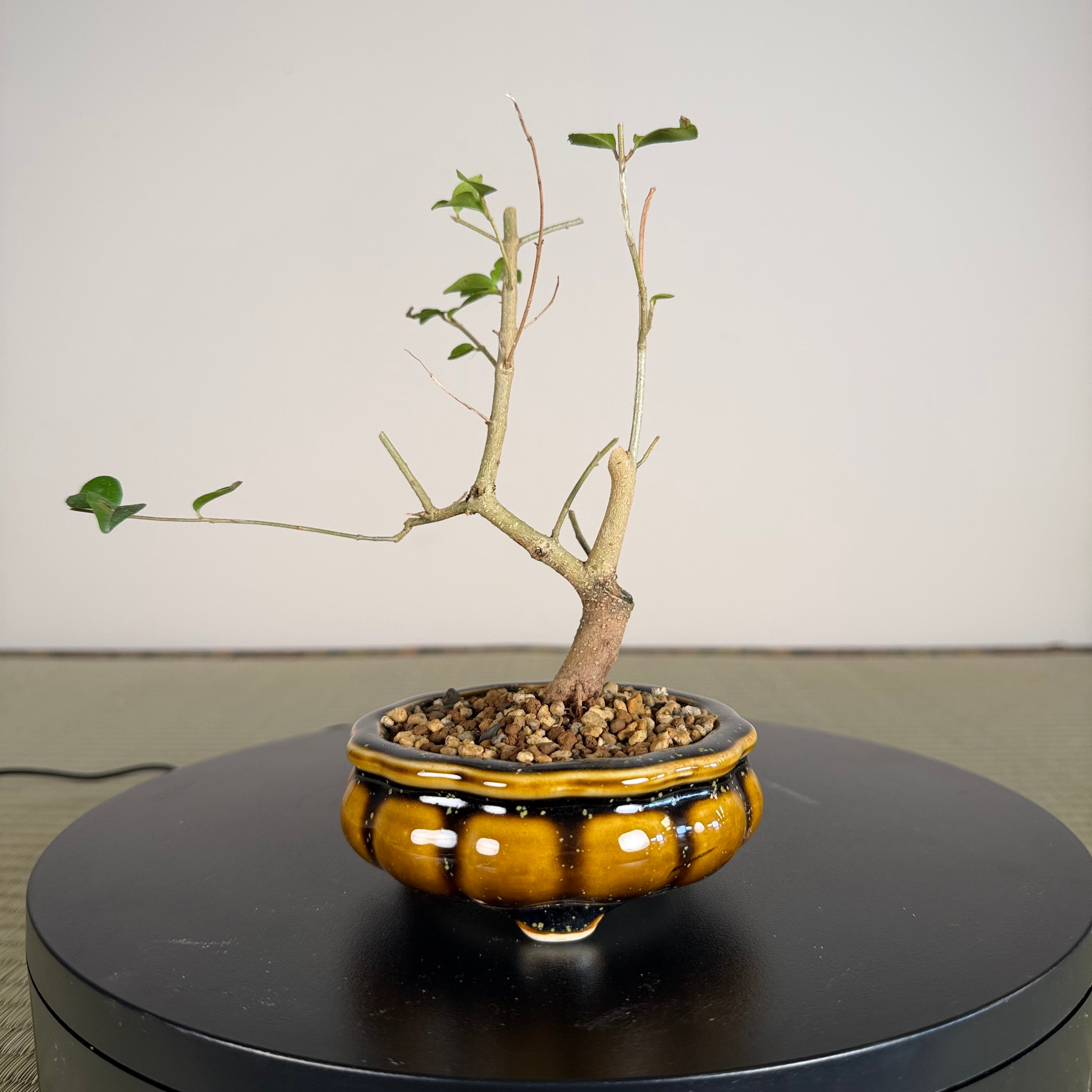 TROISIÈME DE CHINOIS