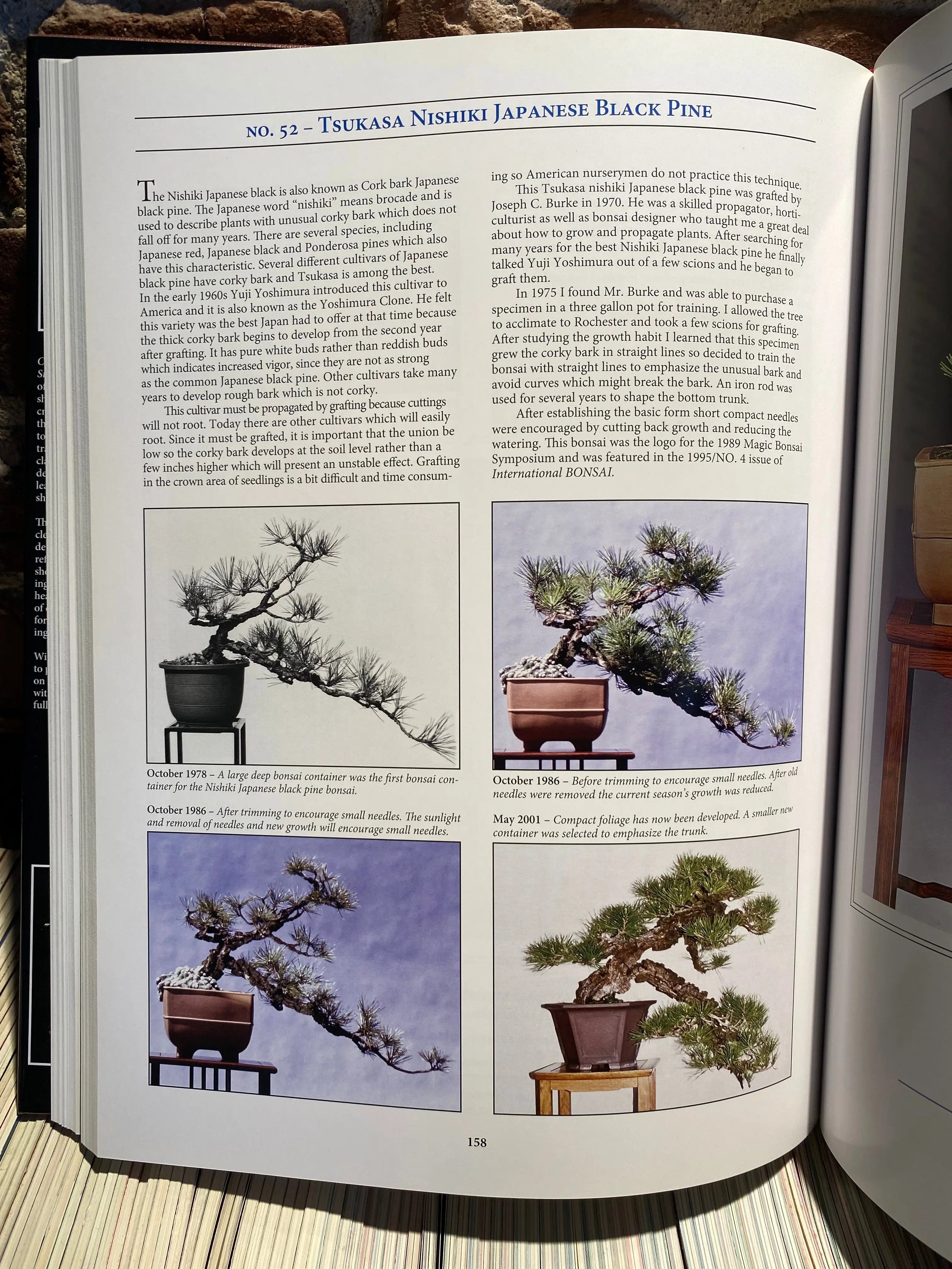 Classical Bonsai Art (signed) CB Books