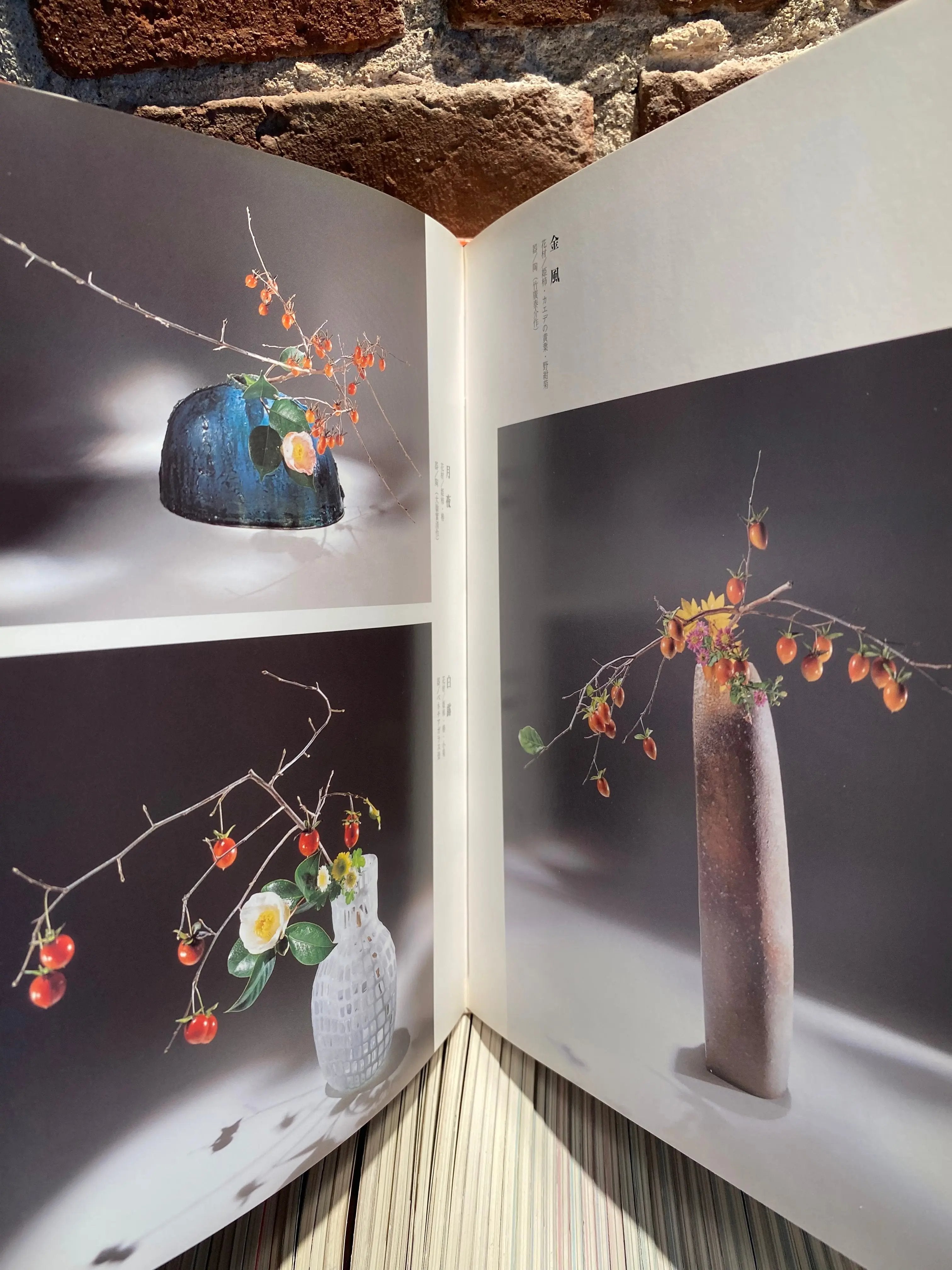 HIME GAKI (Persimmons) CB Books