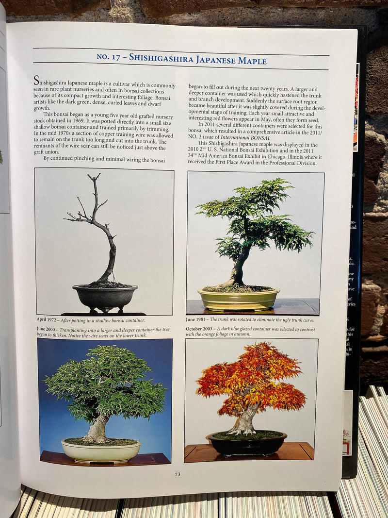 Classical Bonsai Art (signed)