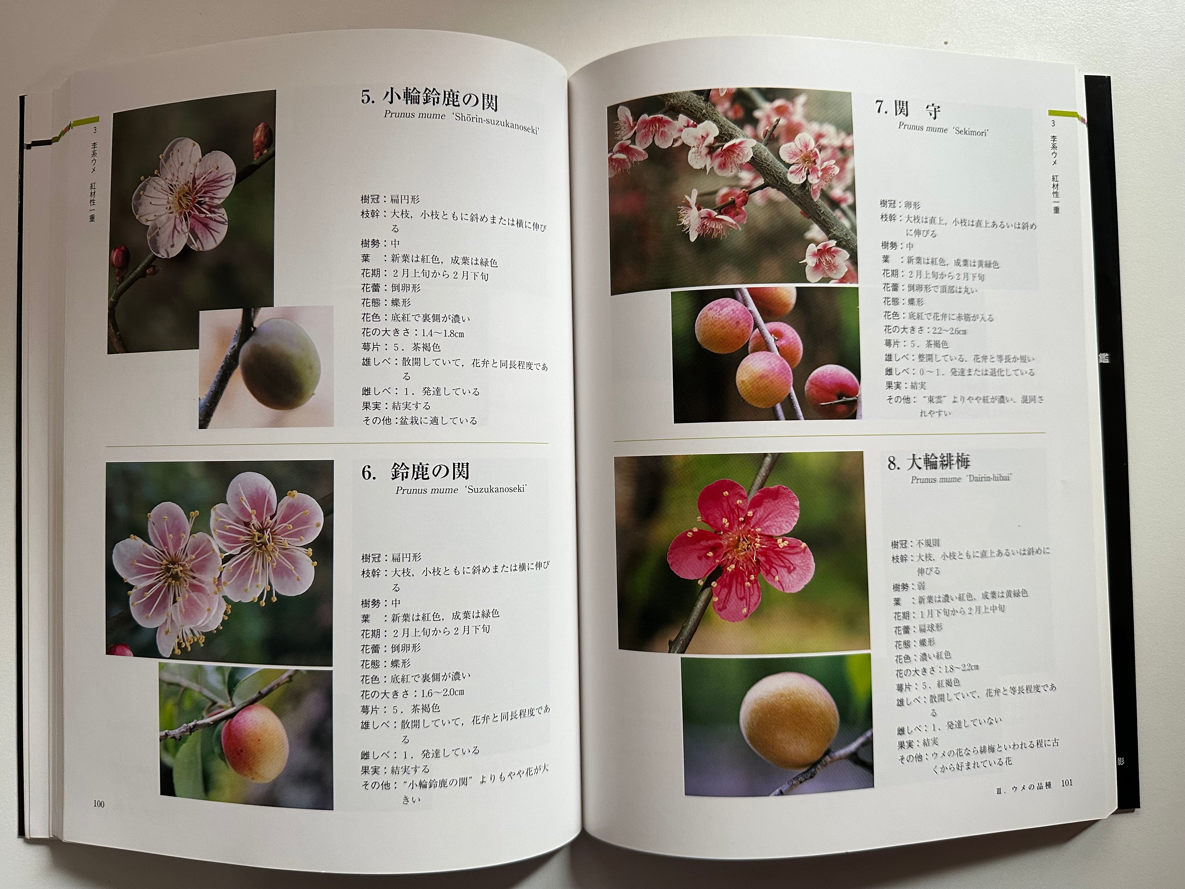 Ume Encyclopedia